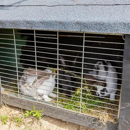 Horská chata Sunset Holidays - Boska Nora Komarno