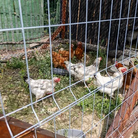 Sunset Holidays - Boska Nora *