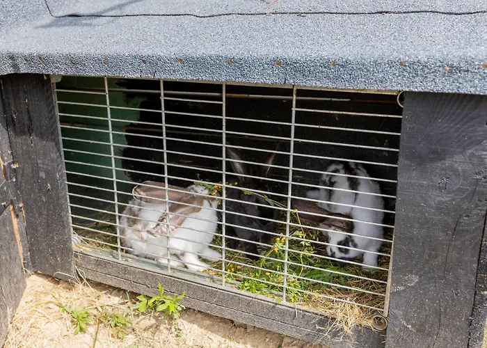 Dağ evi Sunset Holidays - Boska Nora Komarno