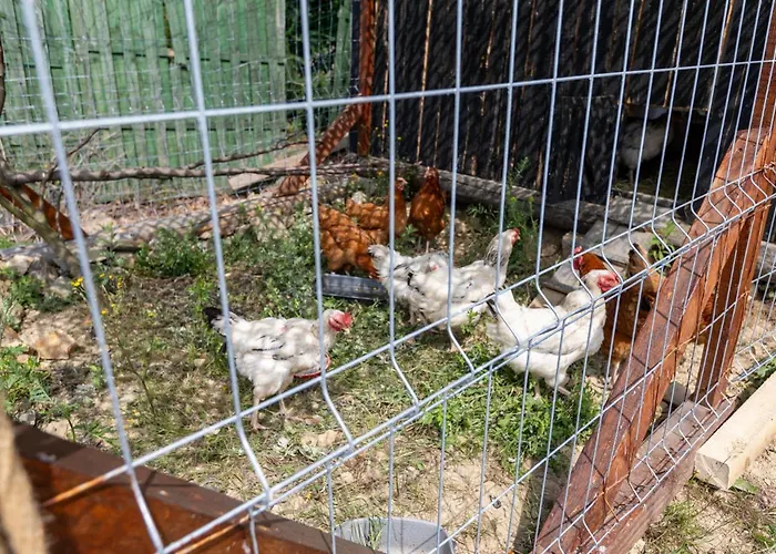 Sunset Holidays - Boska Nora *